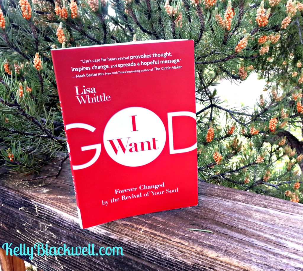 Book Review – I Want God by Lisa Whittle