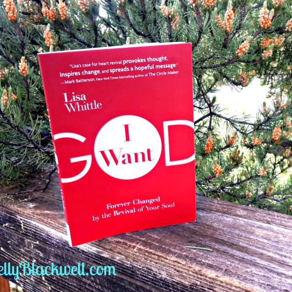 Book Review – I Want God by Lisa Whittle