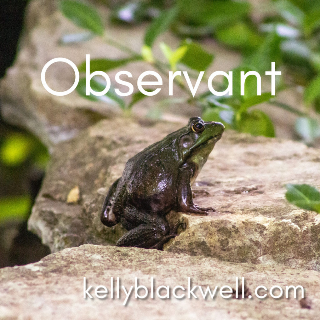 Five Minute Friday – OBSERVANT