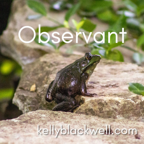 Five Minute Friday – OBSERVANT